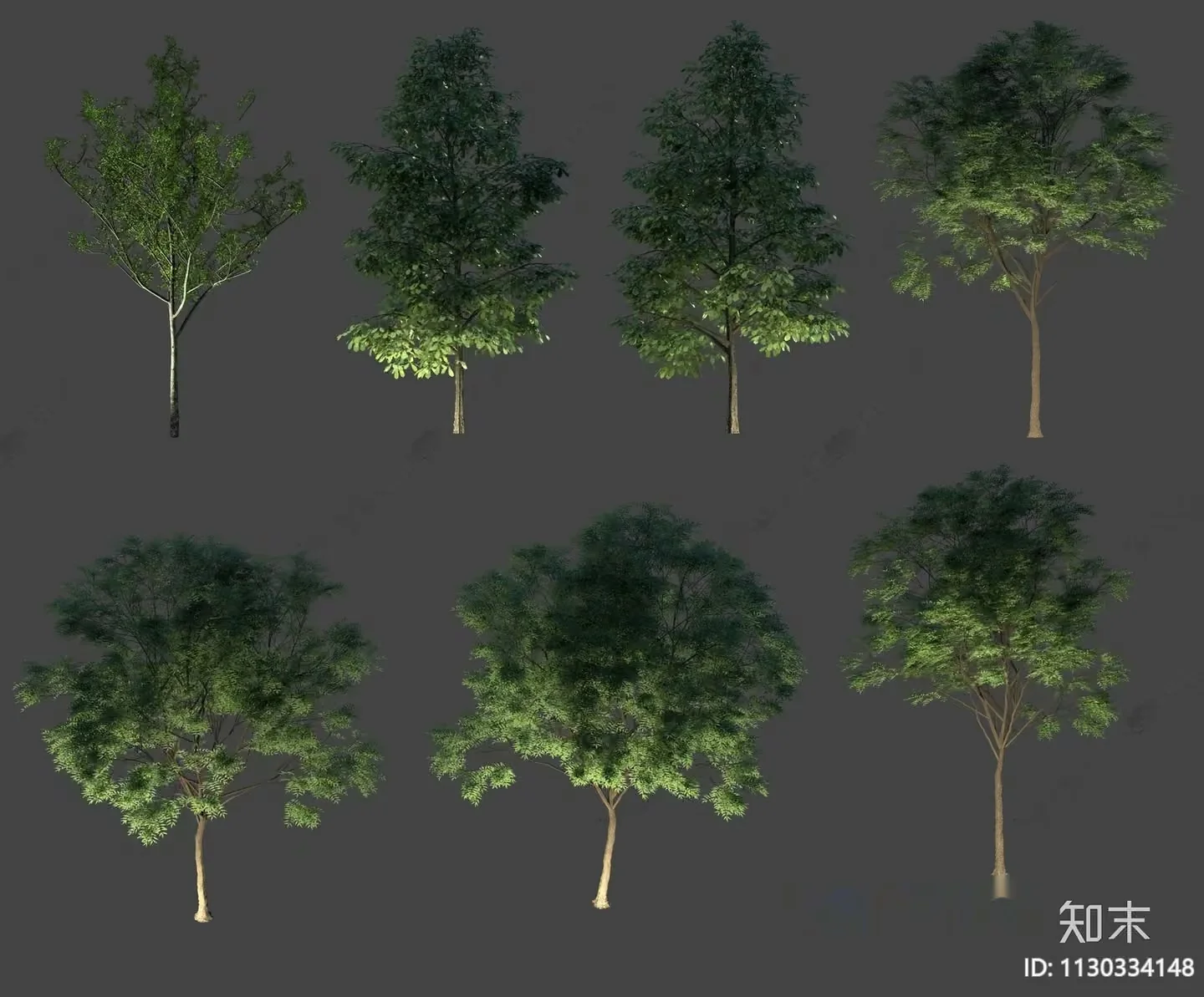 A Tree With Green Leaves 3D Model – 6339 – VRAY Render
