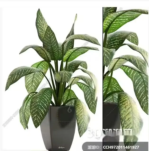 A Potted Plant With Green Leaves 3D Model – 469 – VRAY Render