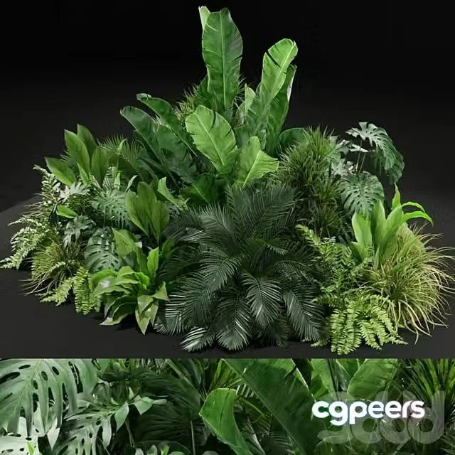 3ds Max Free – Plants collection 445