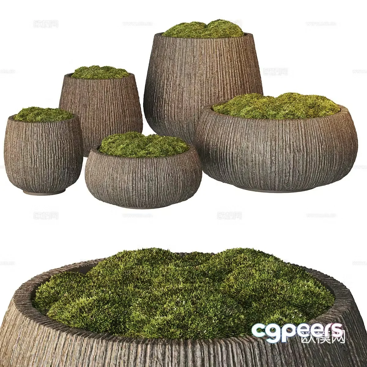 New Chinese bonsai moss 3d model