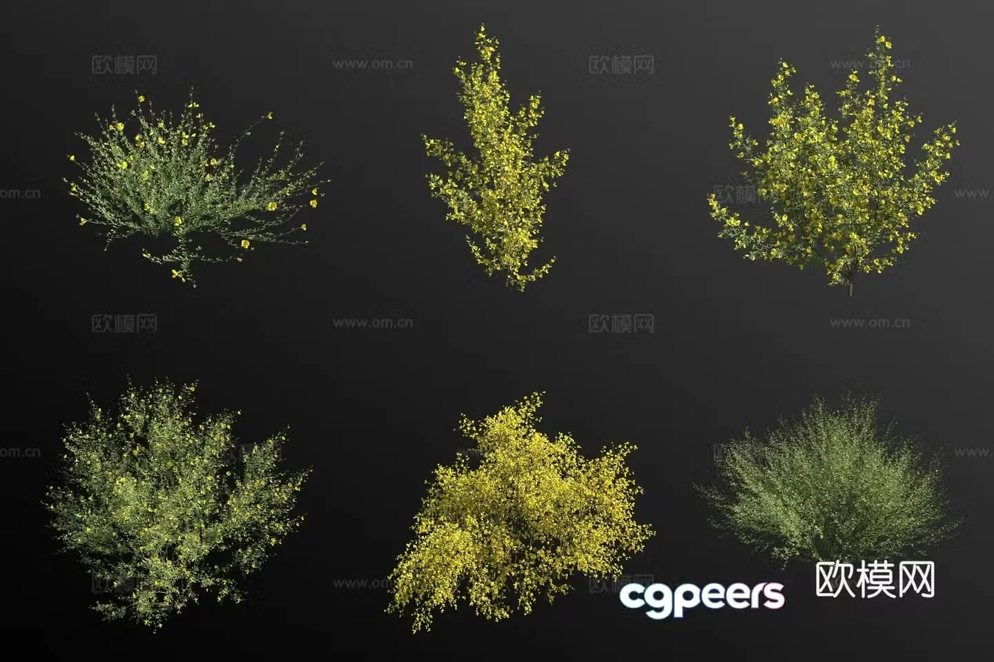 Gorse bush 3d model