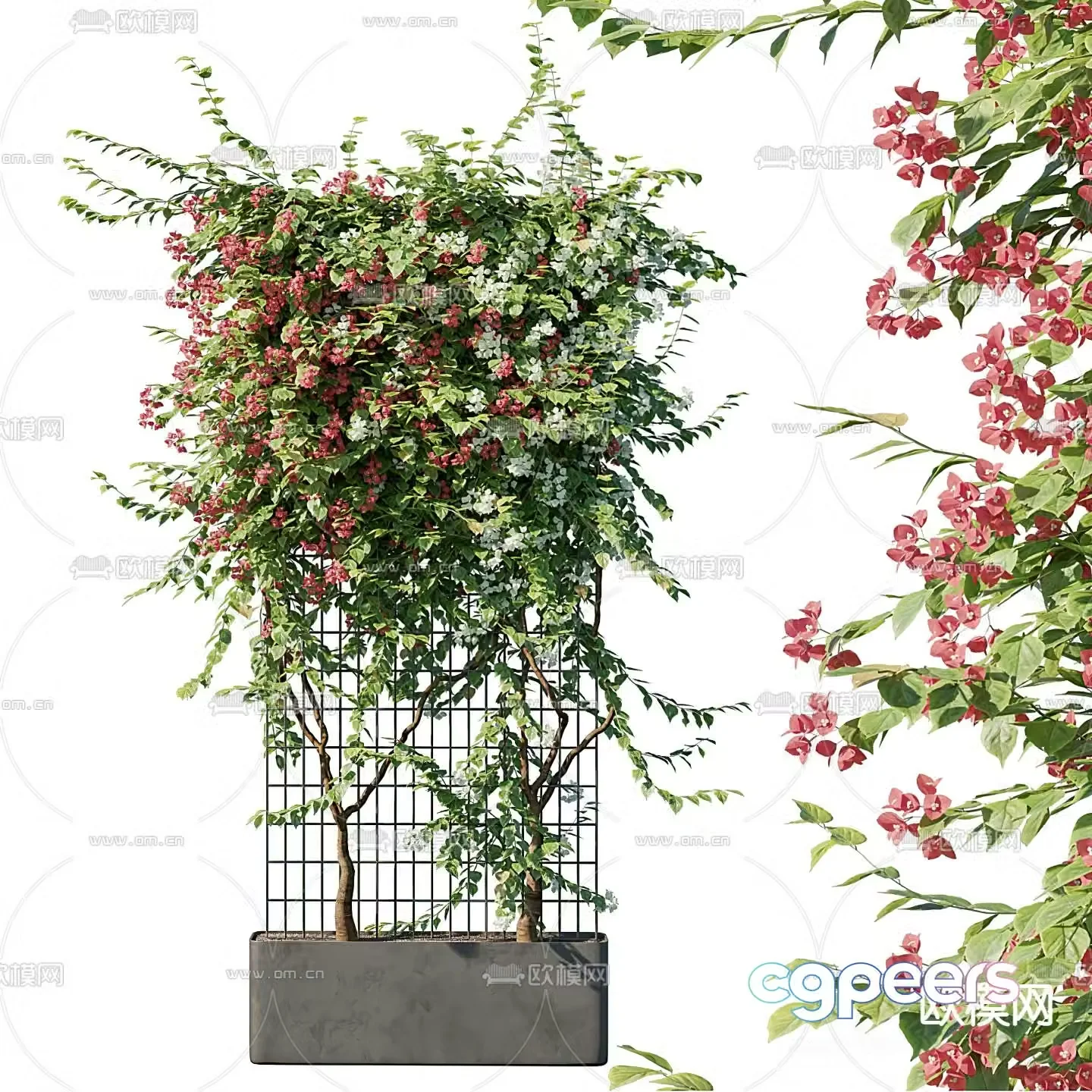 Landscape tree courtyard tree flower tree arbor 3d model
