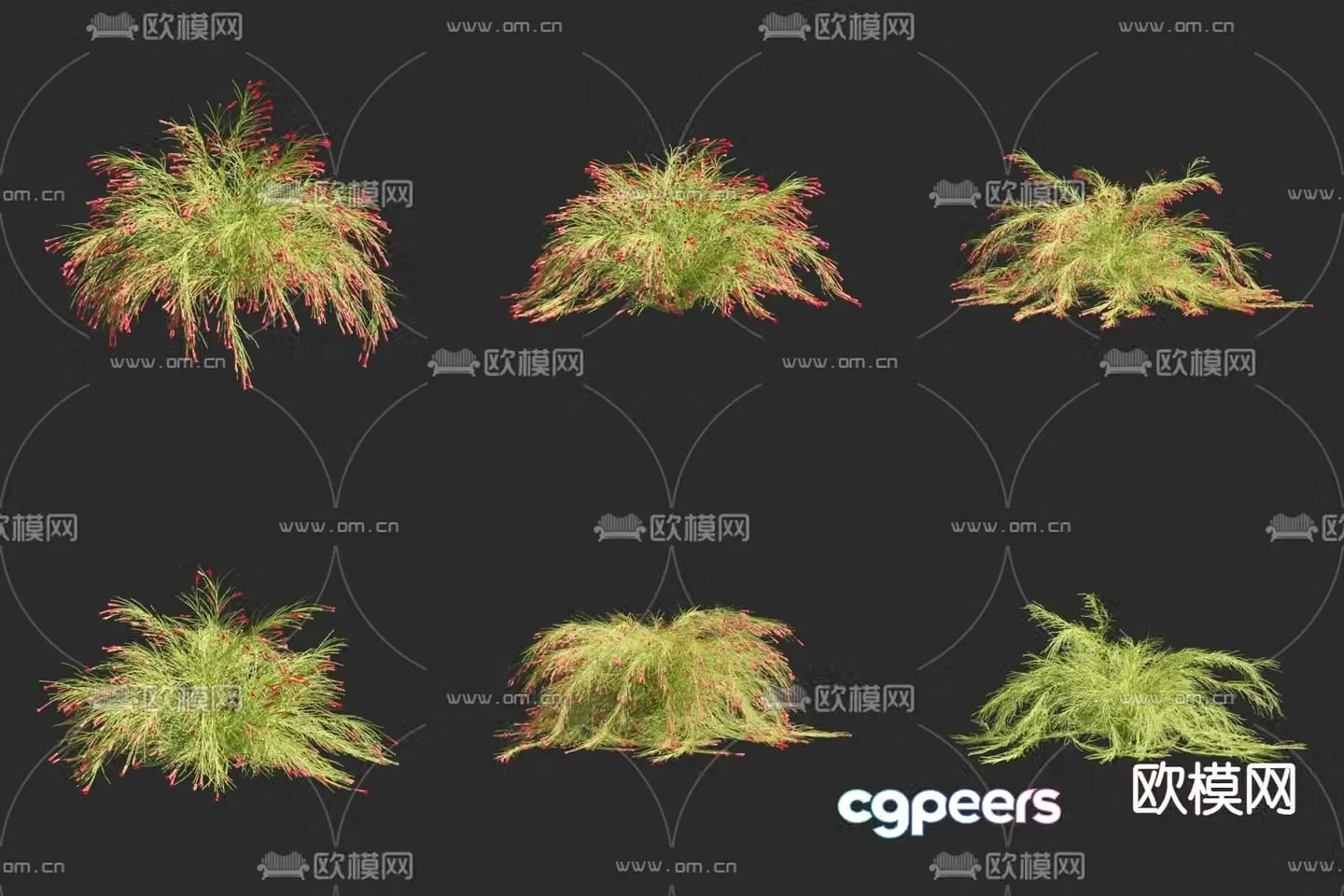 Flowers plants shrubs 3d model