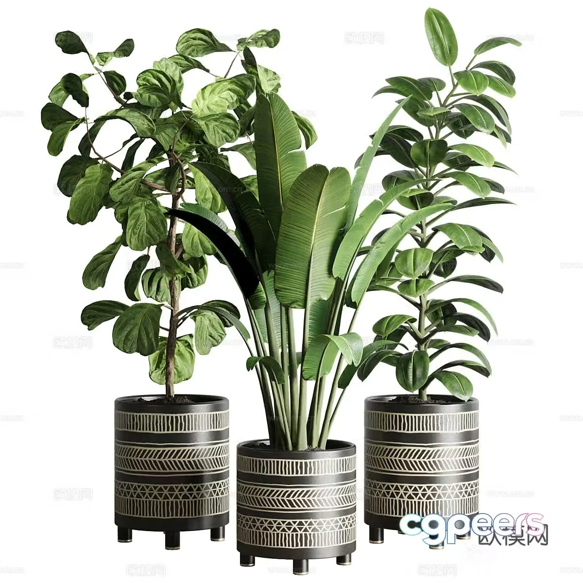Banyan tree green plant potted plant 3d model