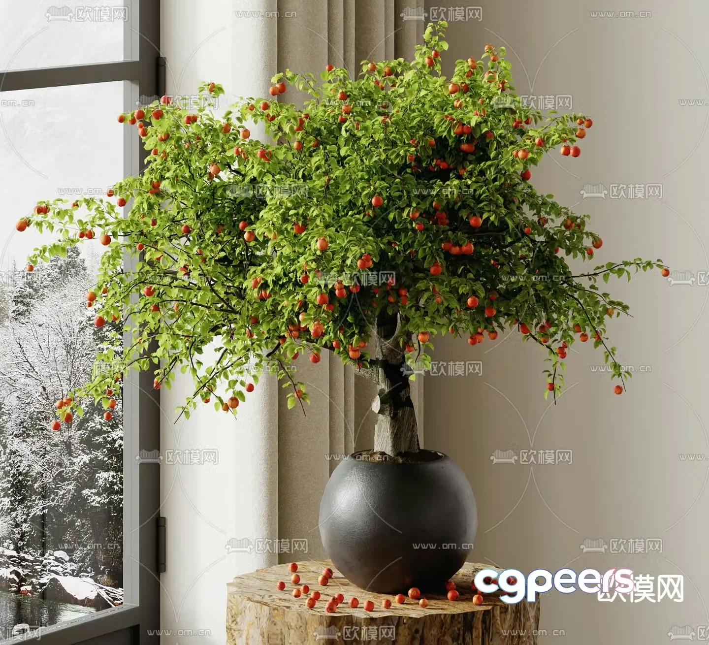 Plant potted bonsai 3d model