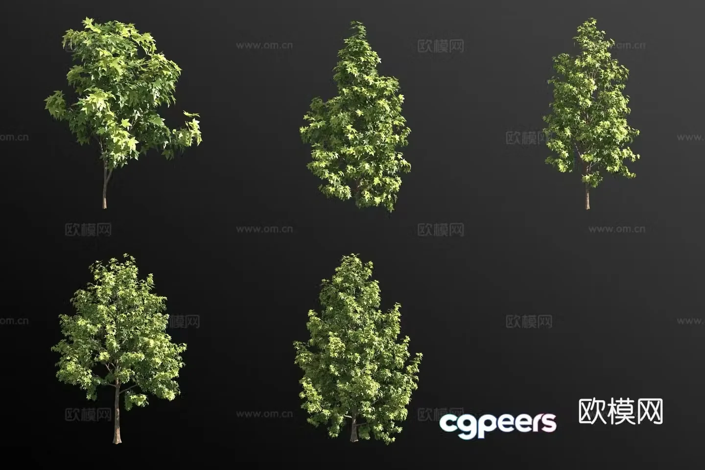 Sweet Tree Shrub Plant 3D Model