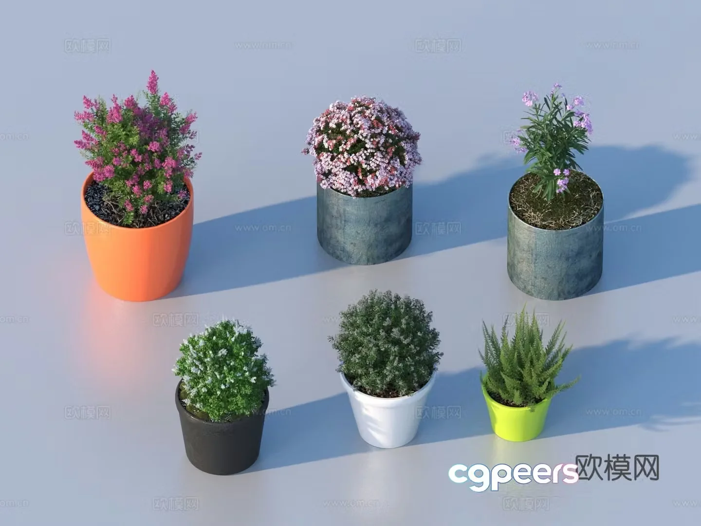 flowerpot potted plant green plant plant 3d model