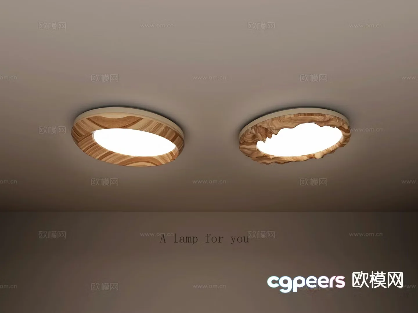 New Chinese style wooden ceiling lamp round ceiling lamp 3d model