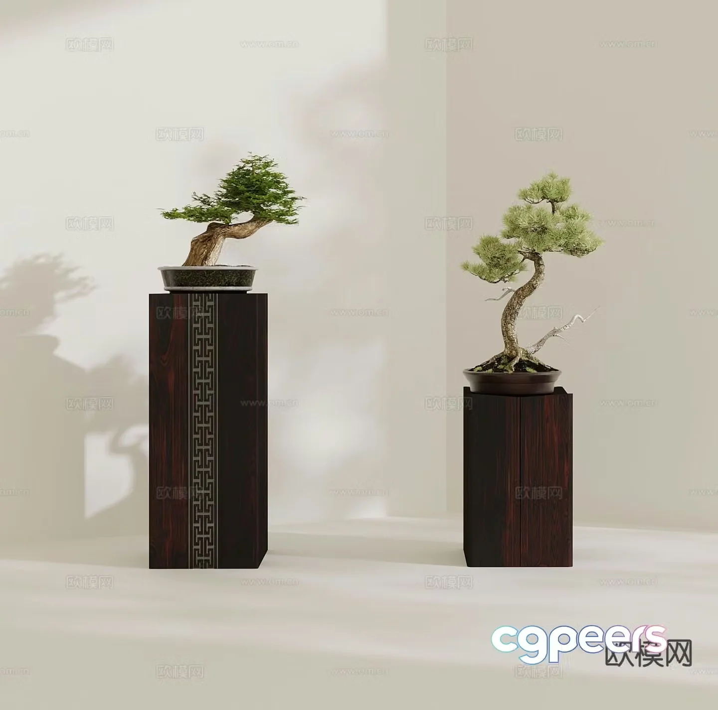 New Chinese potted plants bonsai pine and cypress 3D model