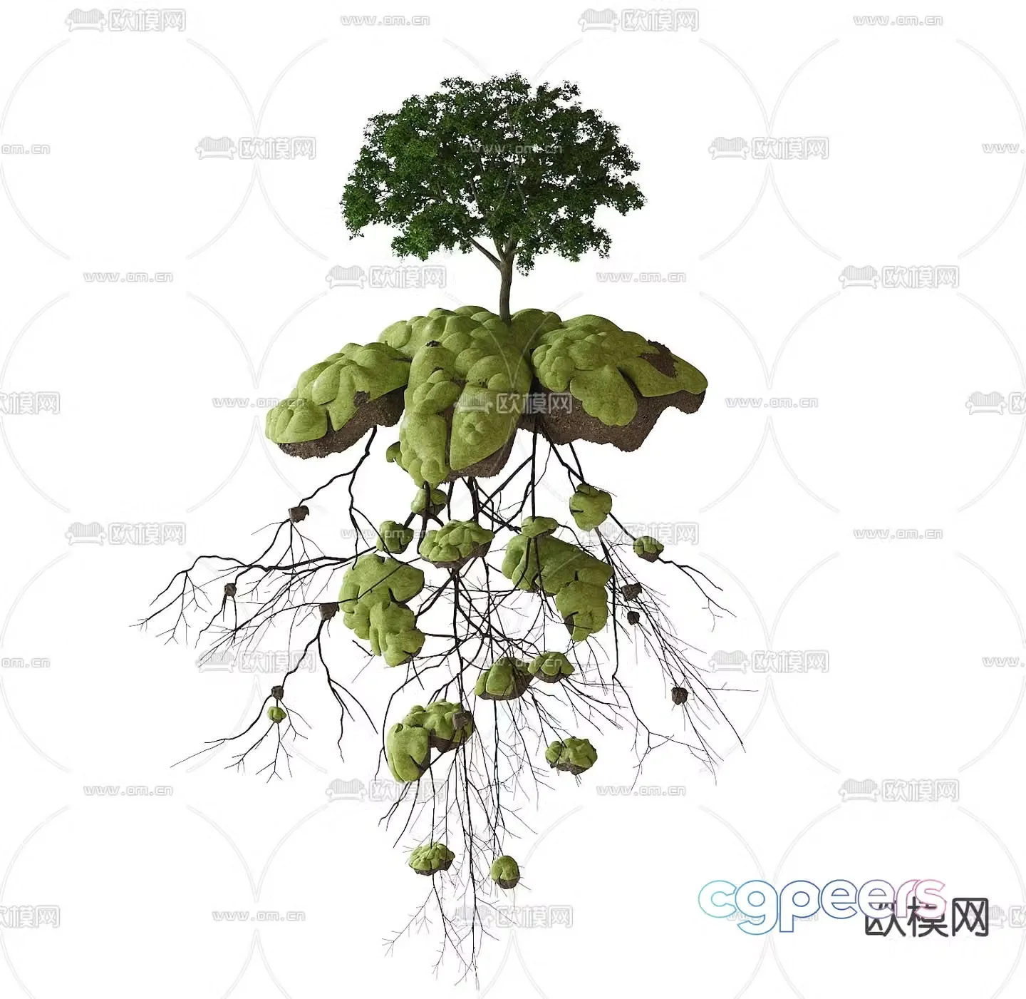 Green plant sketch moss landscape 3d model