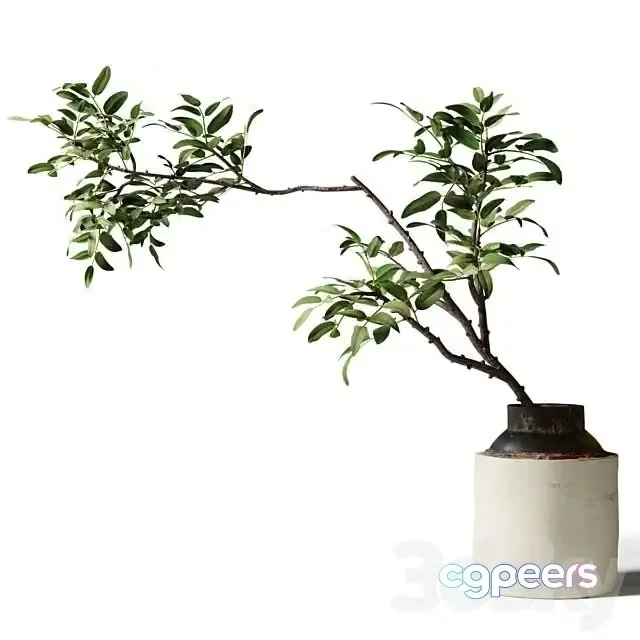 3ds Max Free – Branch with Green Leaves in an Old Metal Vase