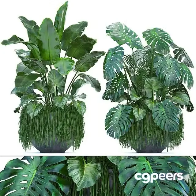 3ds Max Free – Plant collection 253