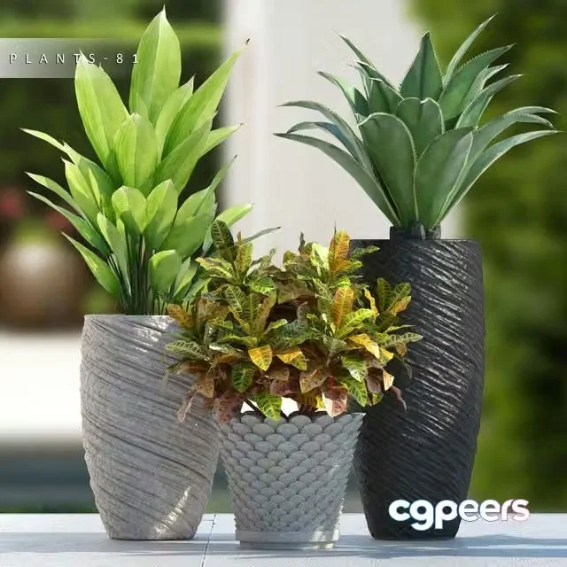 3ds Max Free – PLANTS 81