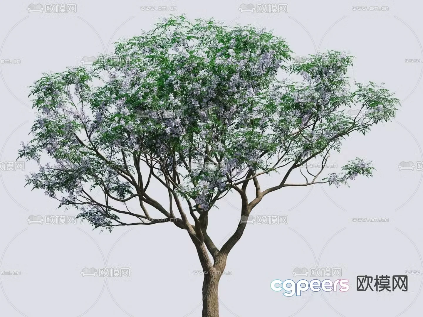 Neem flowering tree landscape tree 3d model
