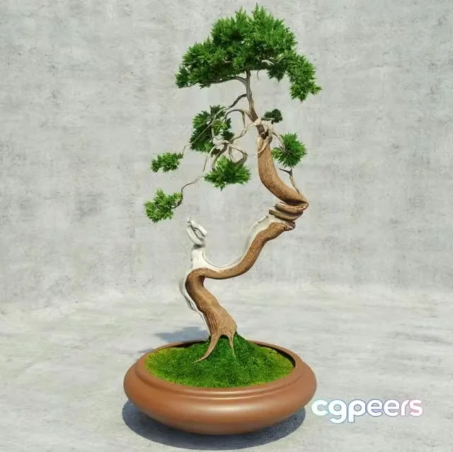 3ds Max Free – Bonsai for interior