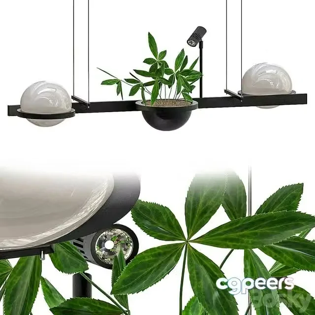 3ds Max Free – Palma_Vibi