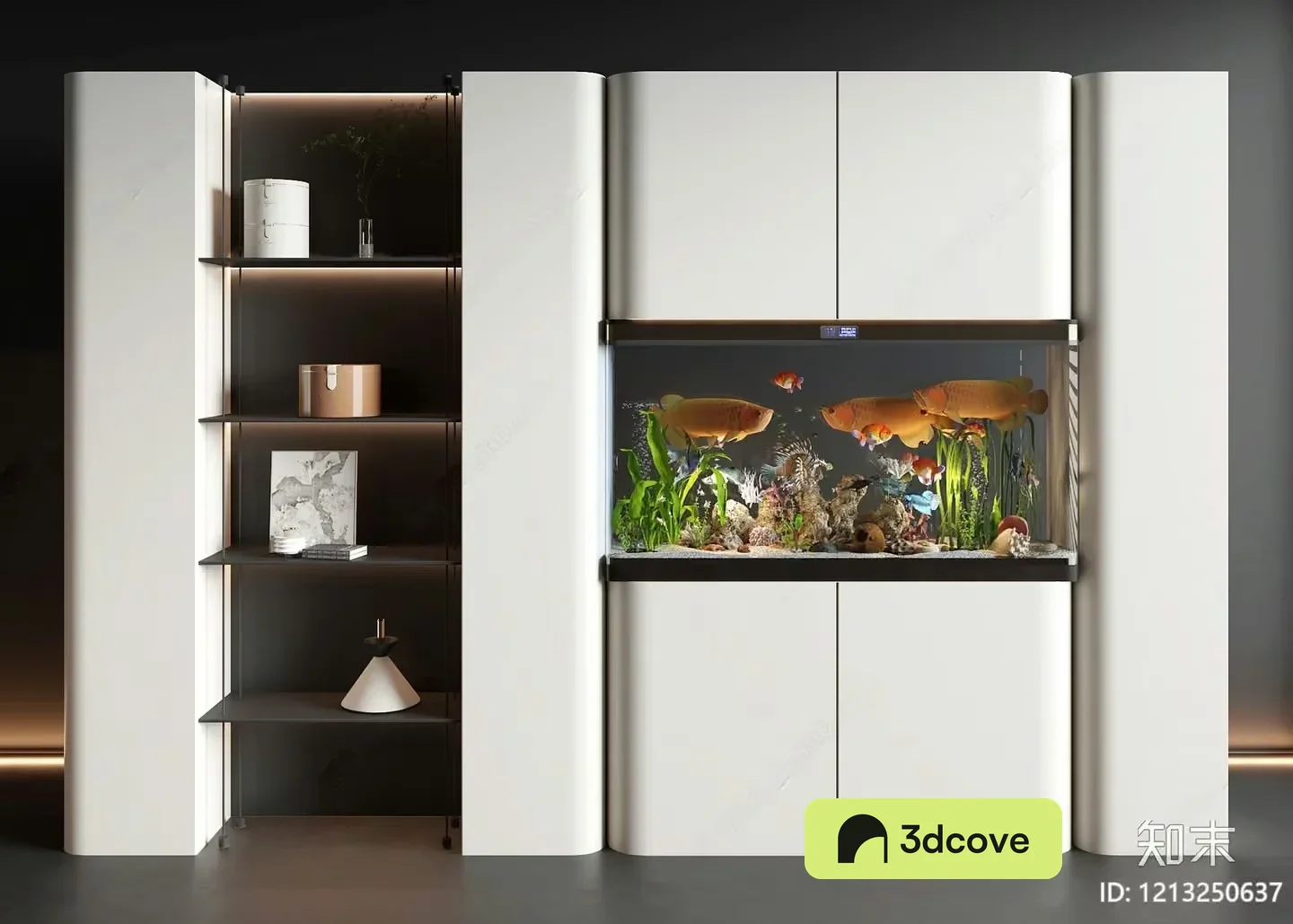 Modern Aquarium Setup