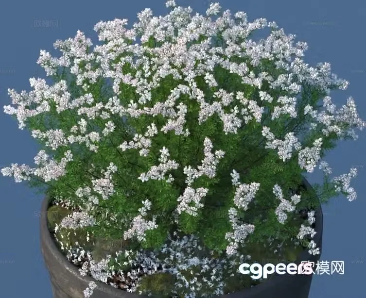 flowerpot potted plant green plant plant 3d model