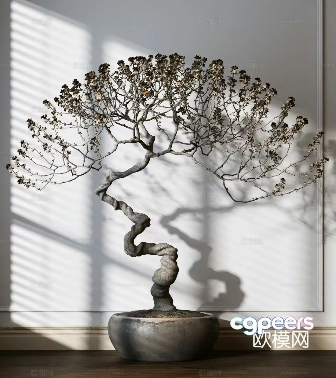 Plant flower pot bonsai 3d model