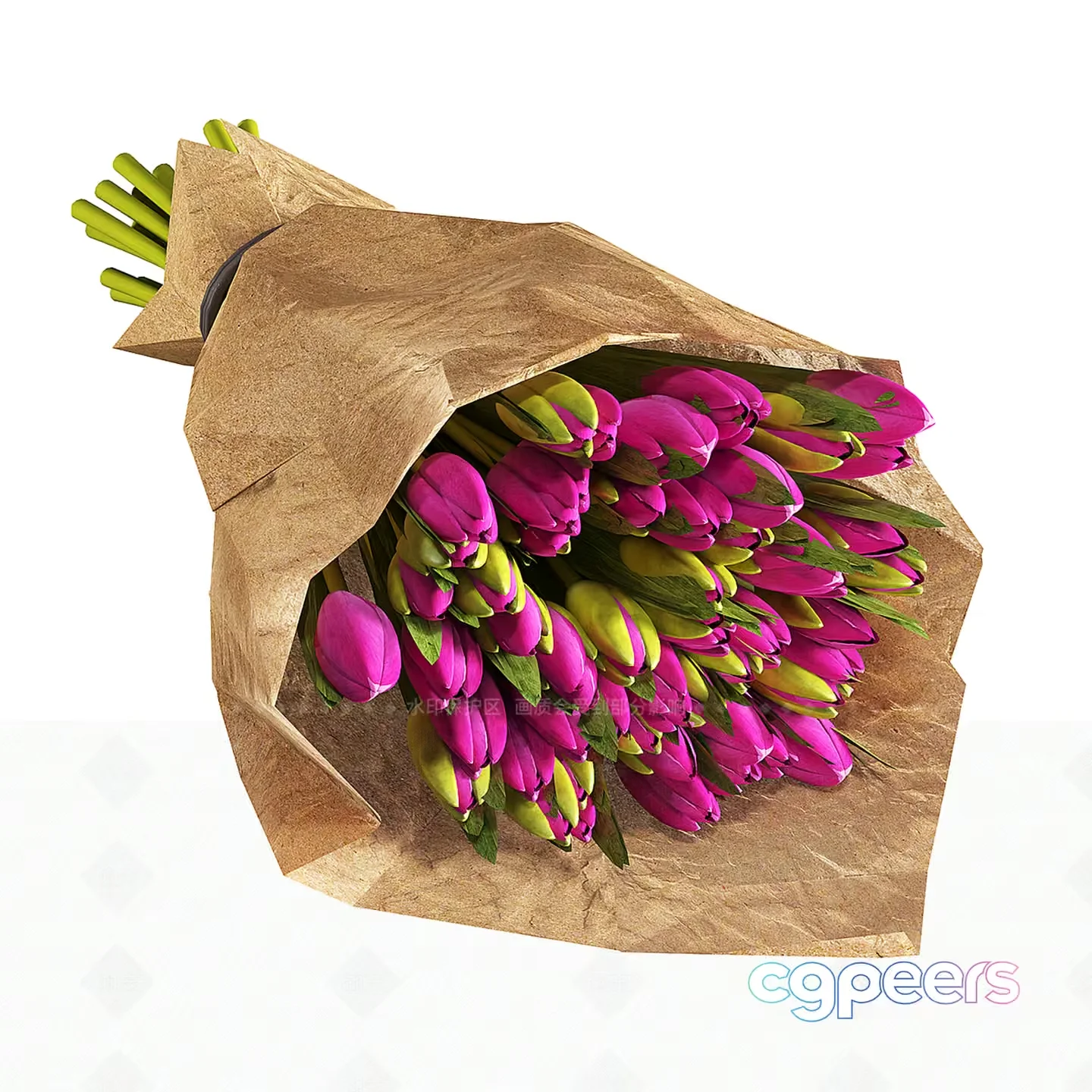 Pink Tulips 3D Model – 1671 – VRAY Render