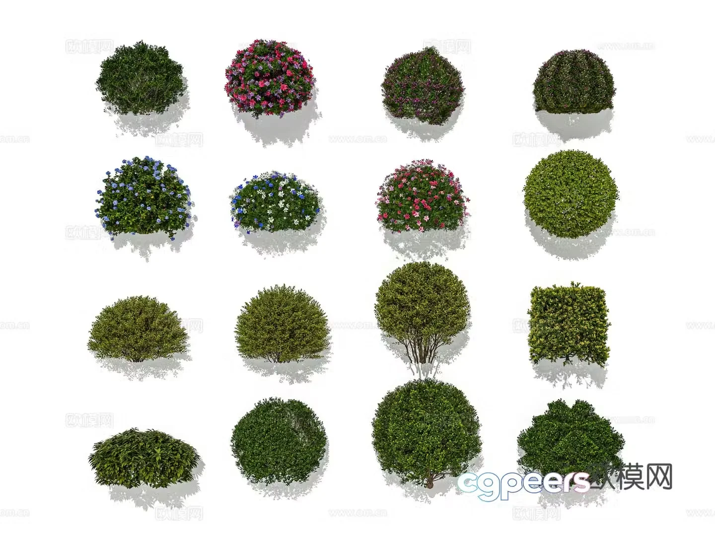 Modeling shrub ball flowering shrub pruning and shaping shrub 3D model