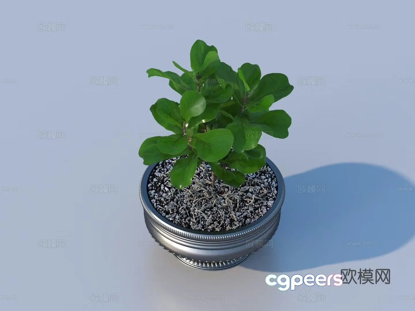 flowerpot potted plant green plant plant 3d model