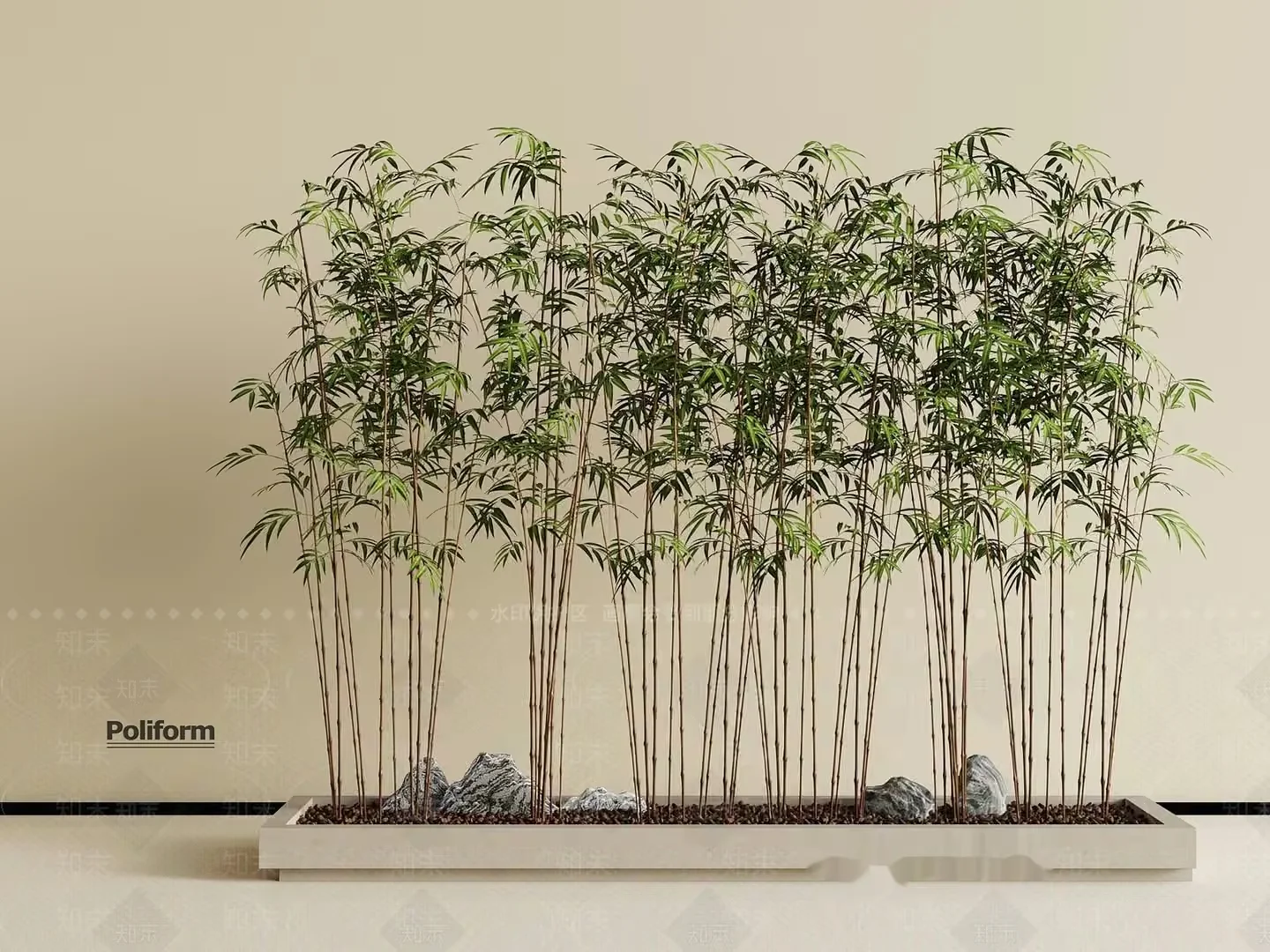 A Bamboo Plant In A Rectangular Planter 3D Model – 3825 – VRAY Render