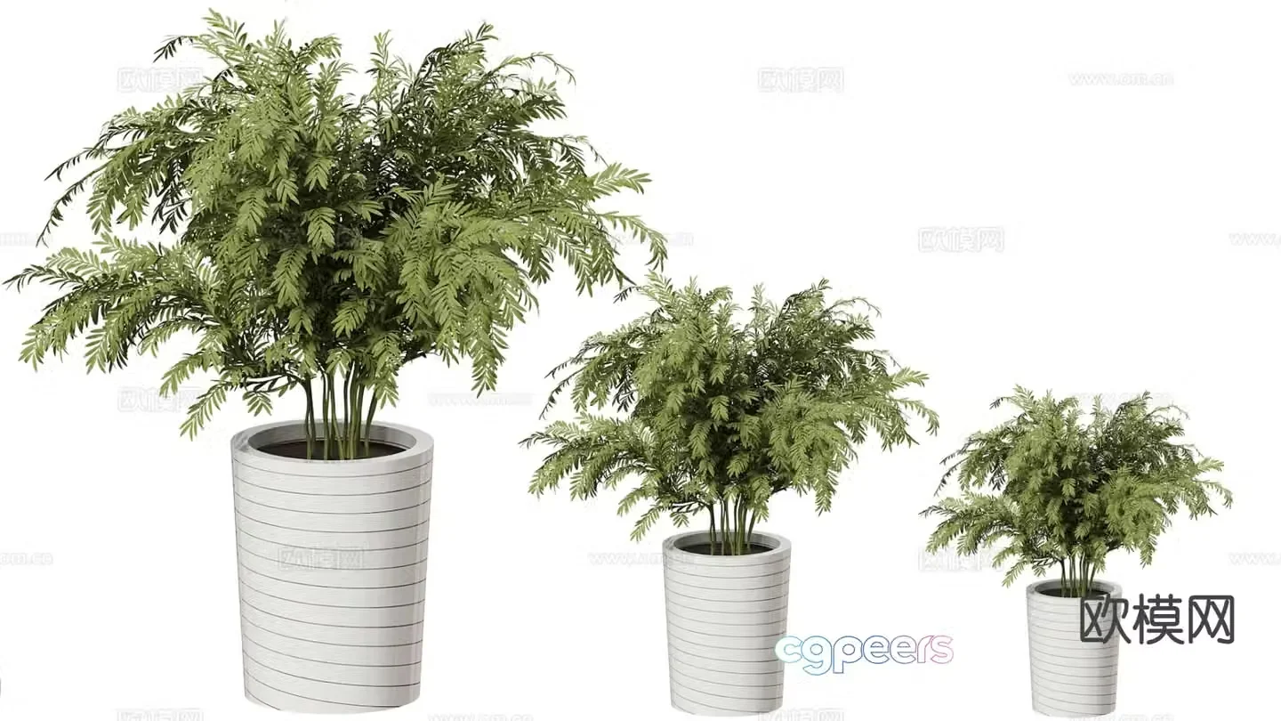 Potted plants indoor green plants office green plants plant ornaments 3D model
