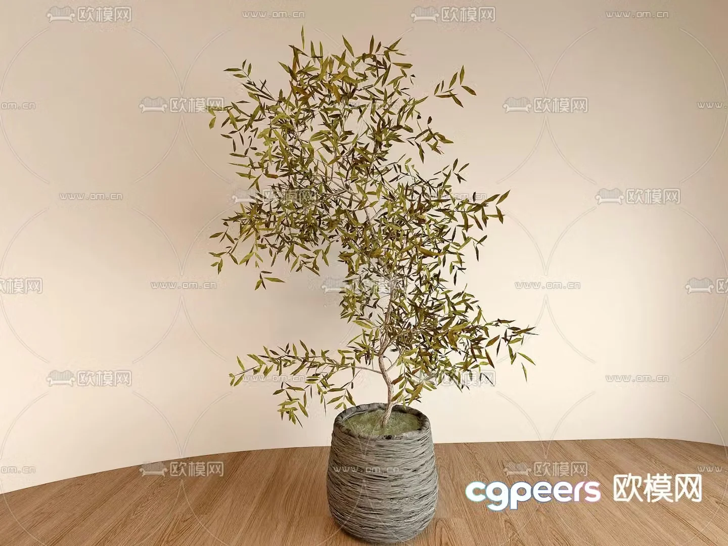 potted bonsai green plant 3d model