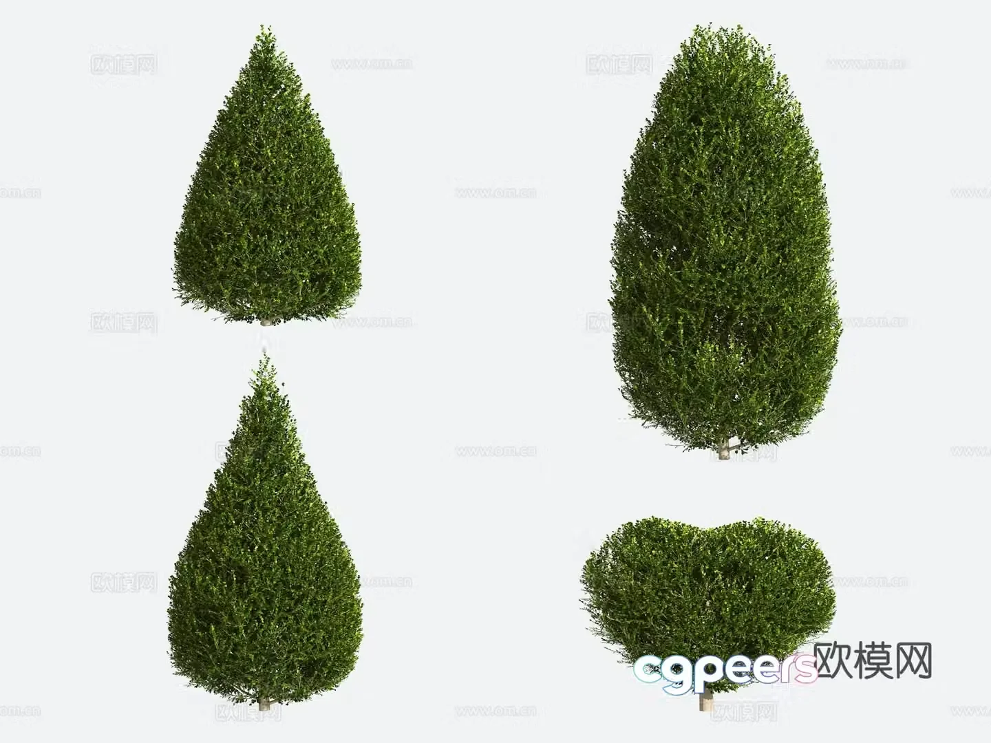 Shrub Modeling Tree Gardening 3d Model