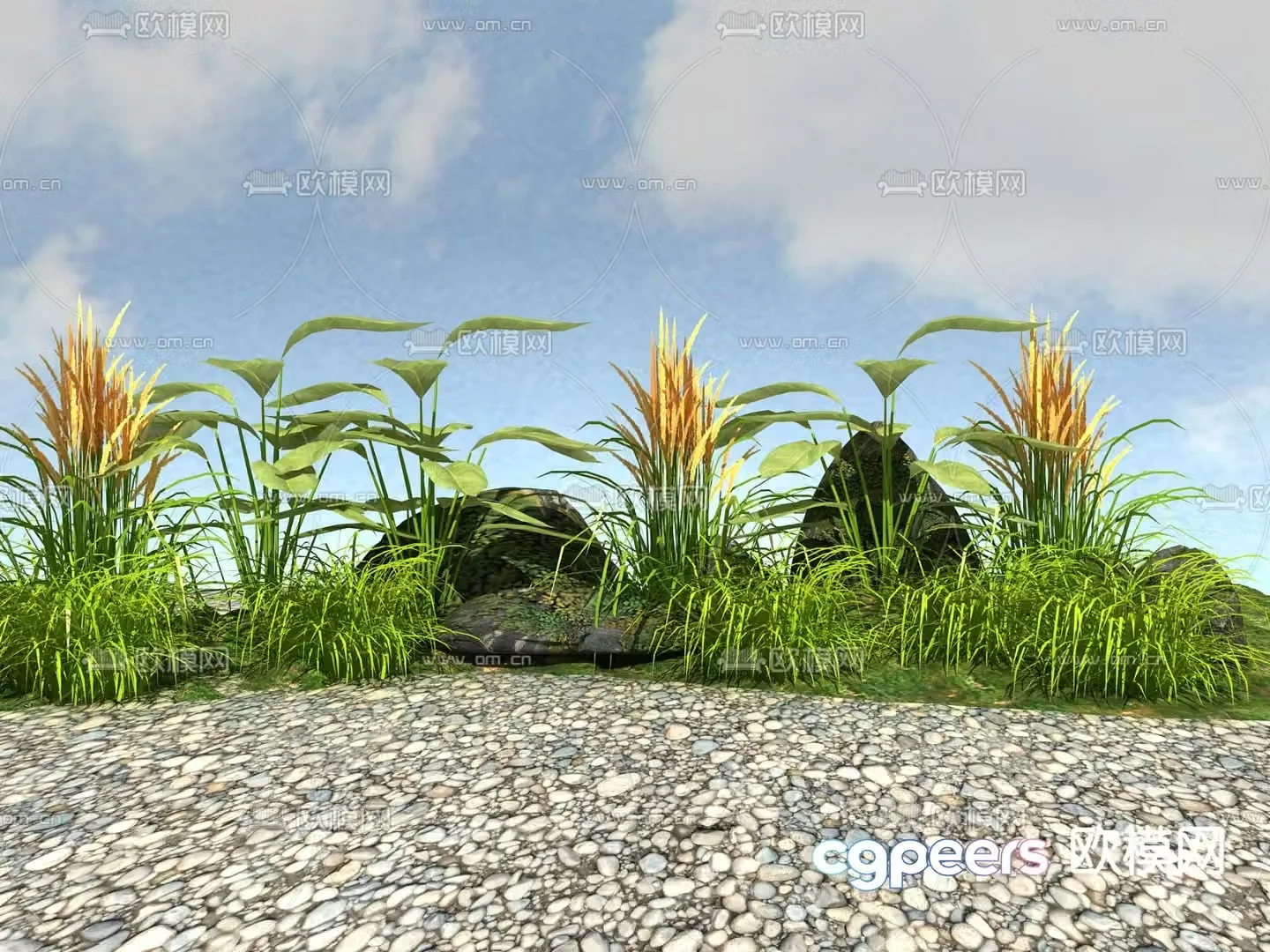 Flowers and plants Stone 3d model