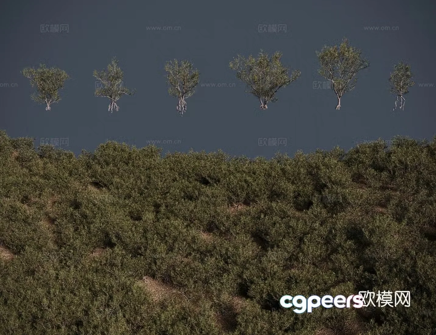 Modern tree Haloxylon ammodendron tree shrub 3d model