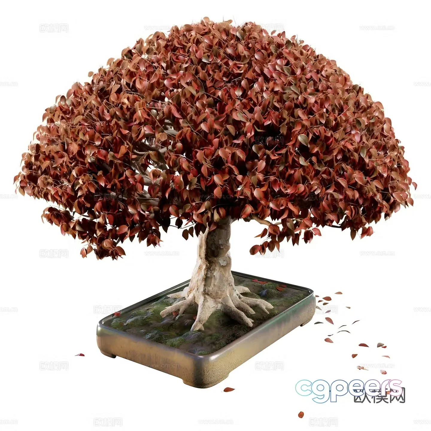 Red potted plant 3d model