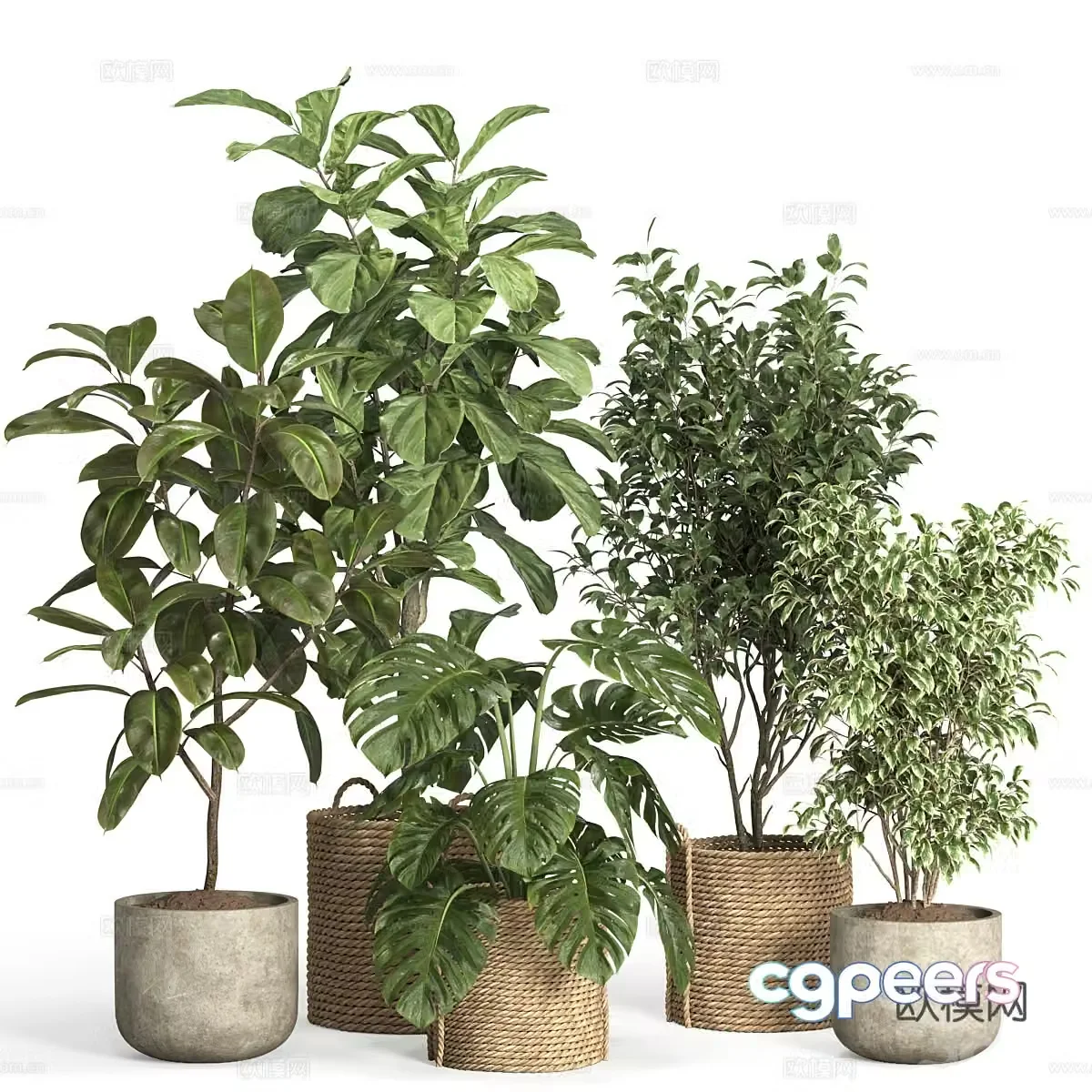New Chinese green plant potted 3D model