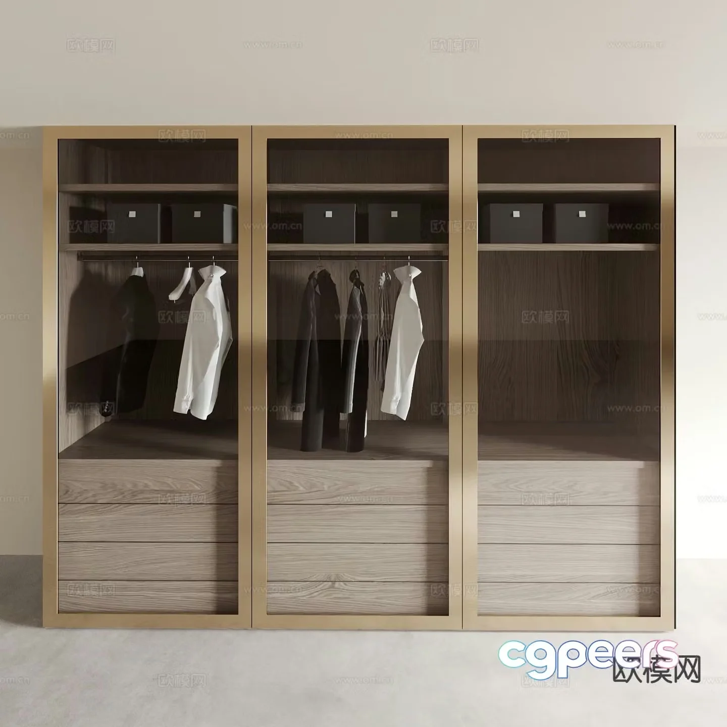 Light luxury glass wardrobe 3D model