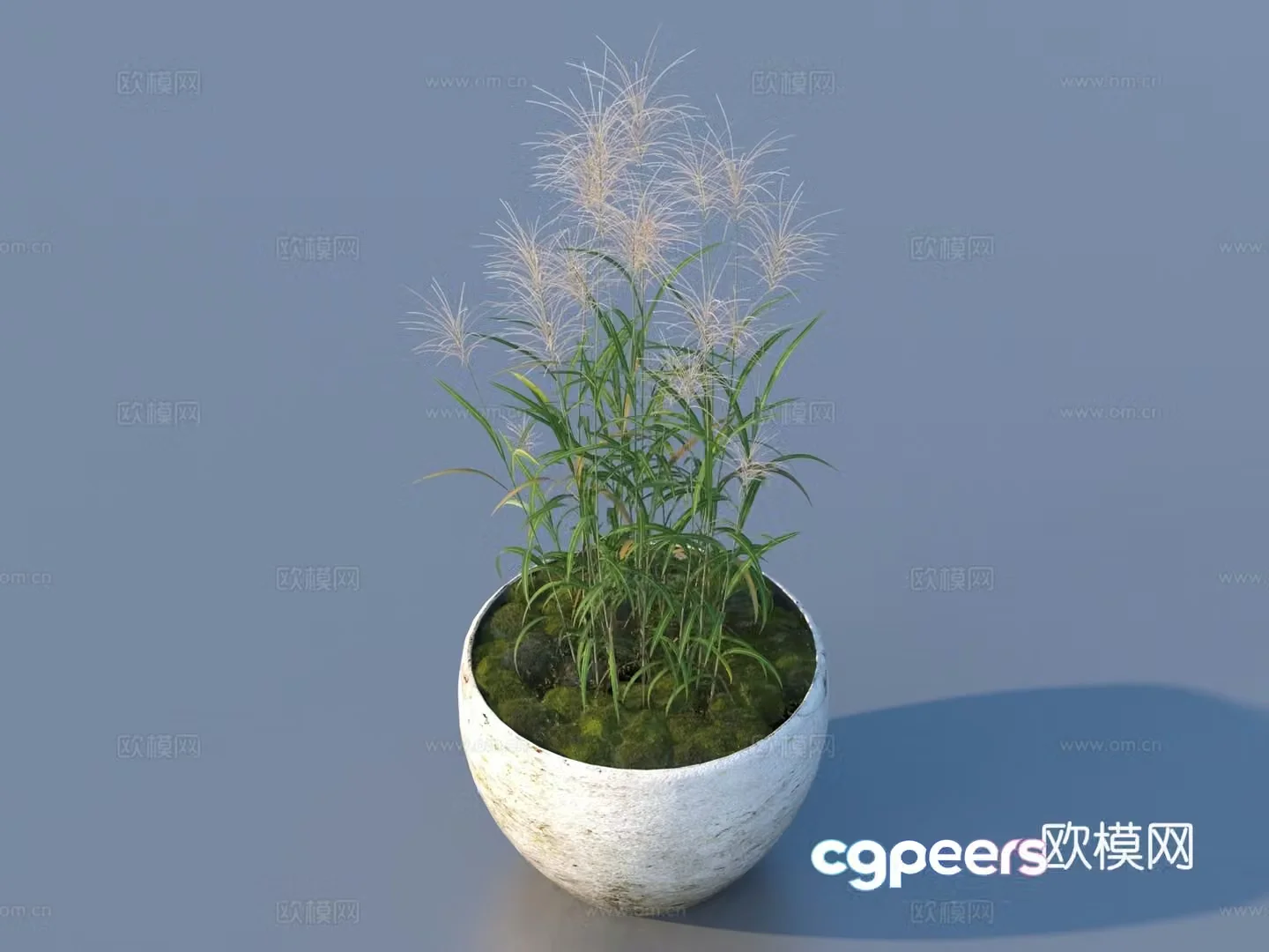flowerpot potted plant green plant plant 3d model