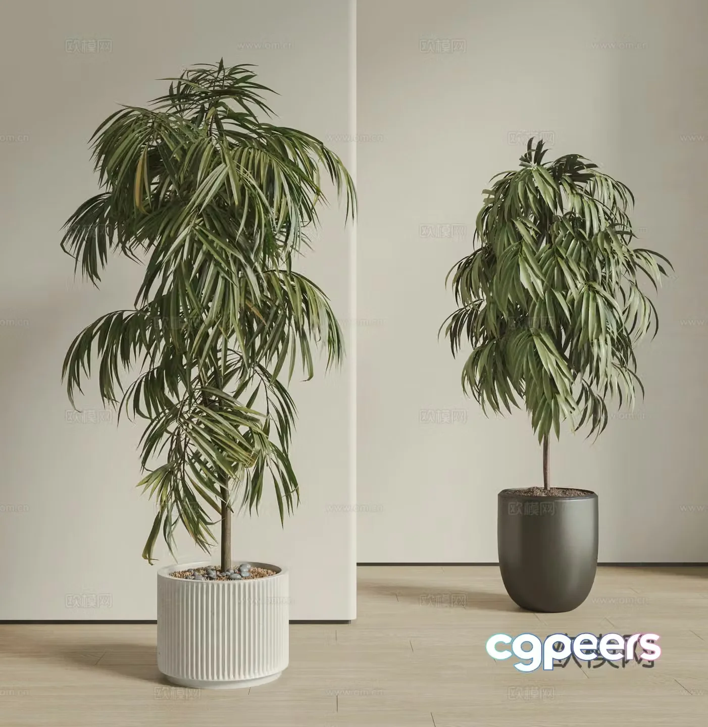 Modern potted plant combination ground-based plants green plants potted plants bonsai long-leaf bamboo and cypress 3D model