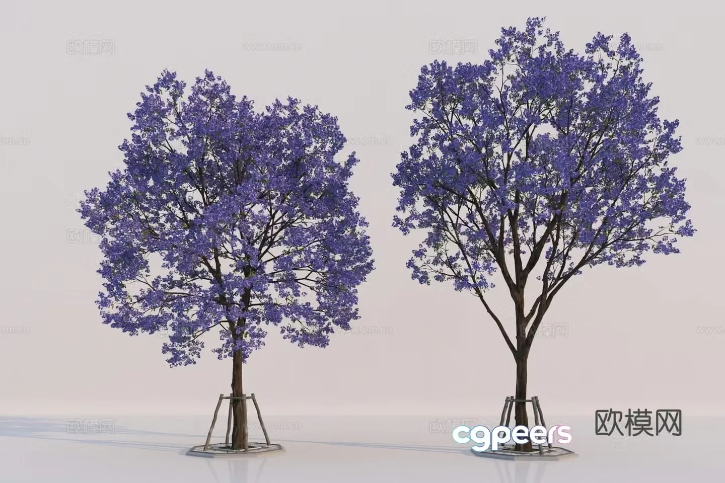 Modern tree Jacaranda 3D model