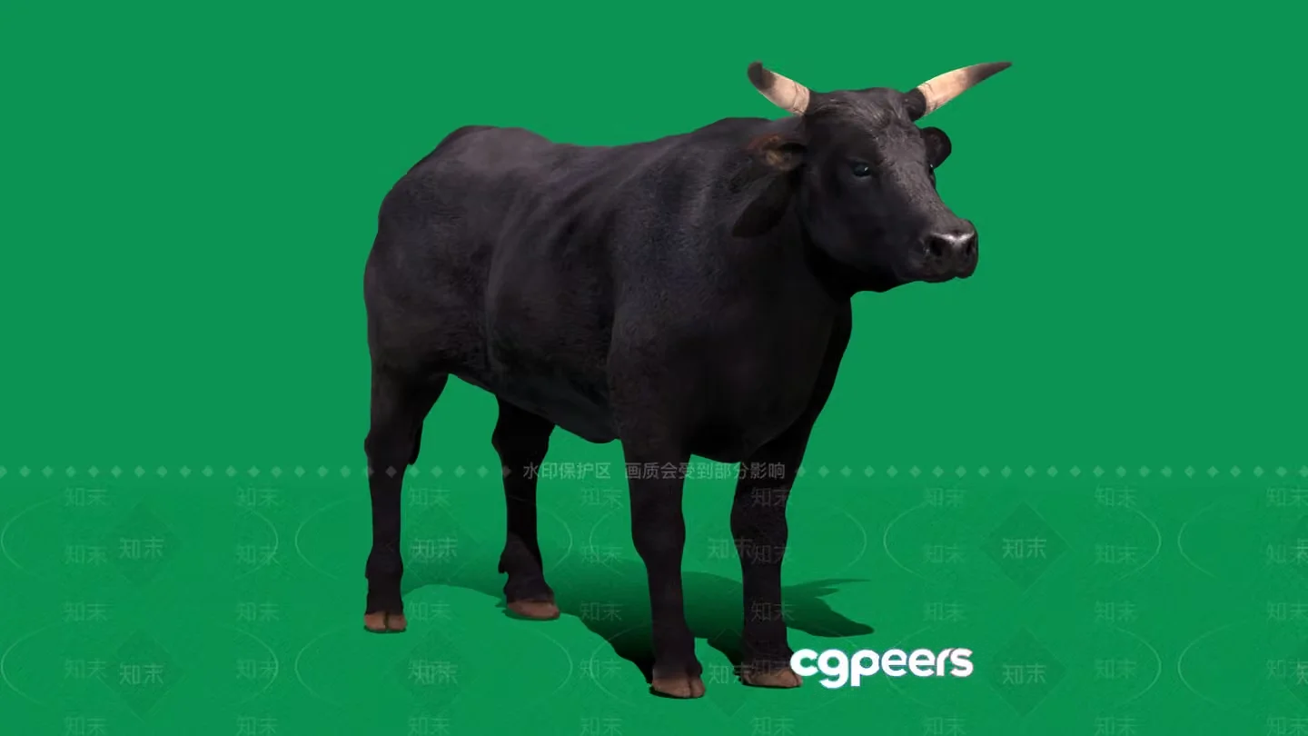 A Black Bull With Tan Horns 3D Model – 3191 – VRAY Render
