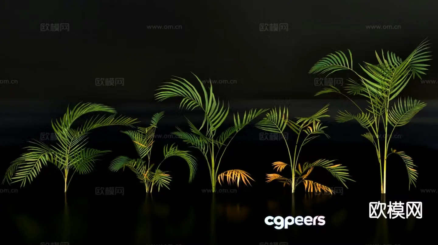 Modern potted plants Green potted plants 3D model