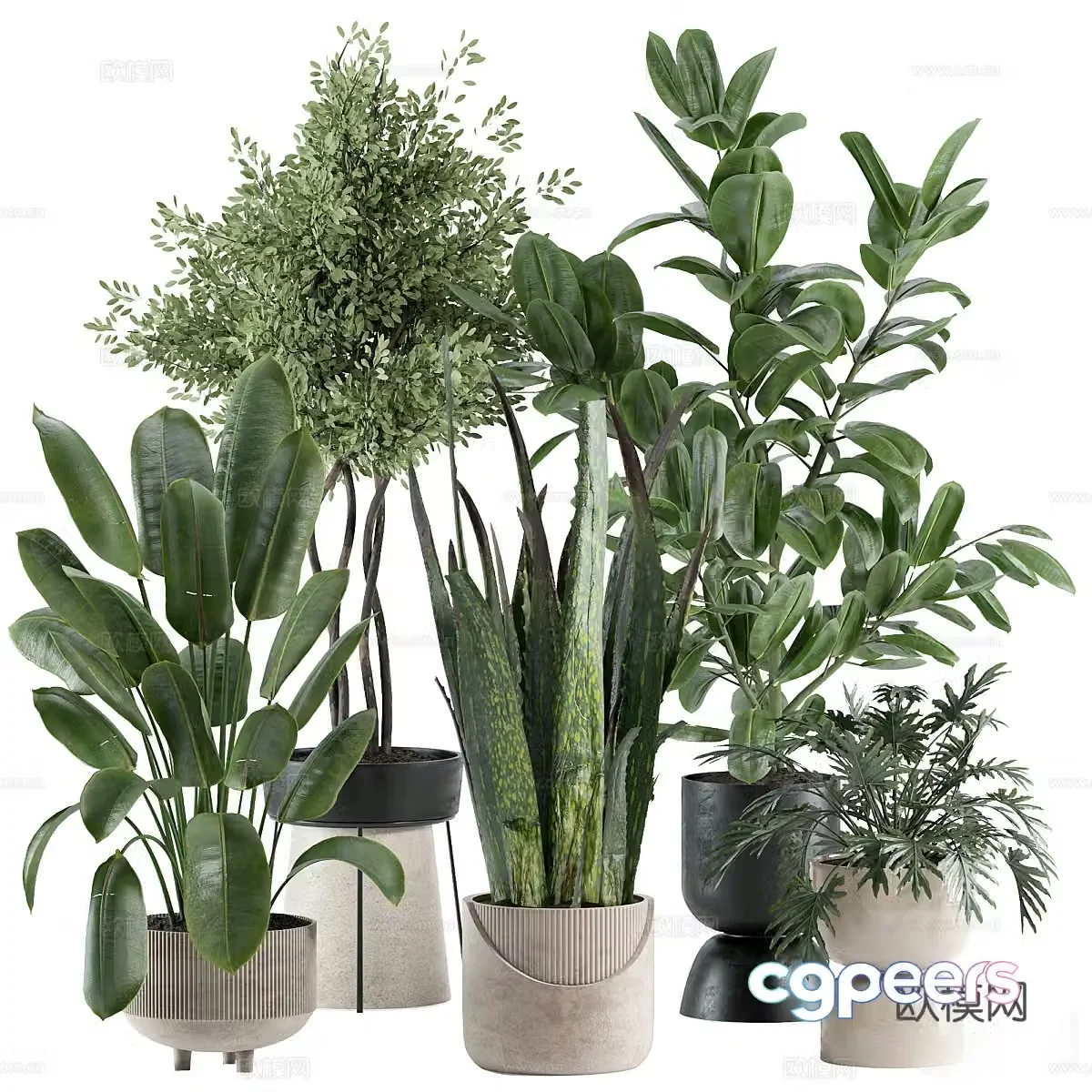Modern green plant potted 3D model