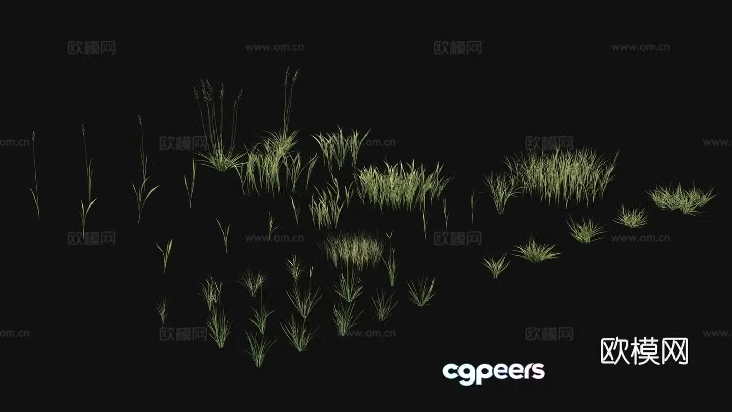 Outdoor flowers plants green plants 3d model