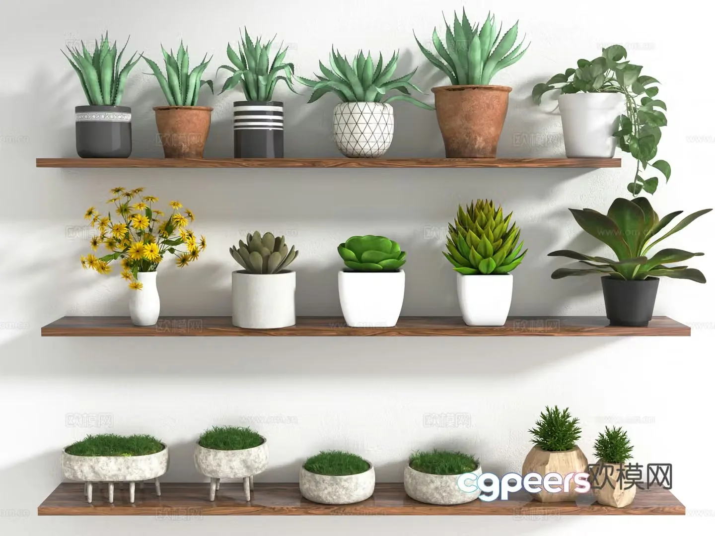 Modern green plants potted plants aloe vera cat grass indoor potted plants 3D model
