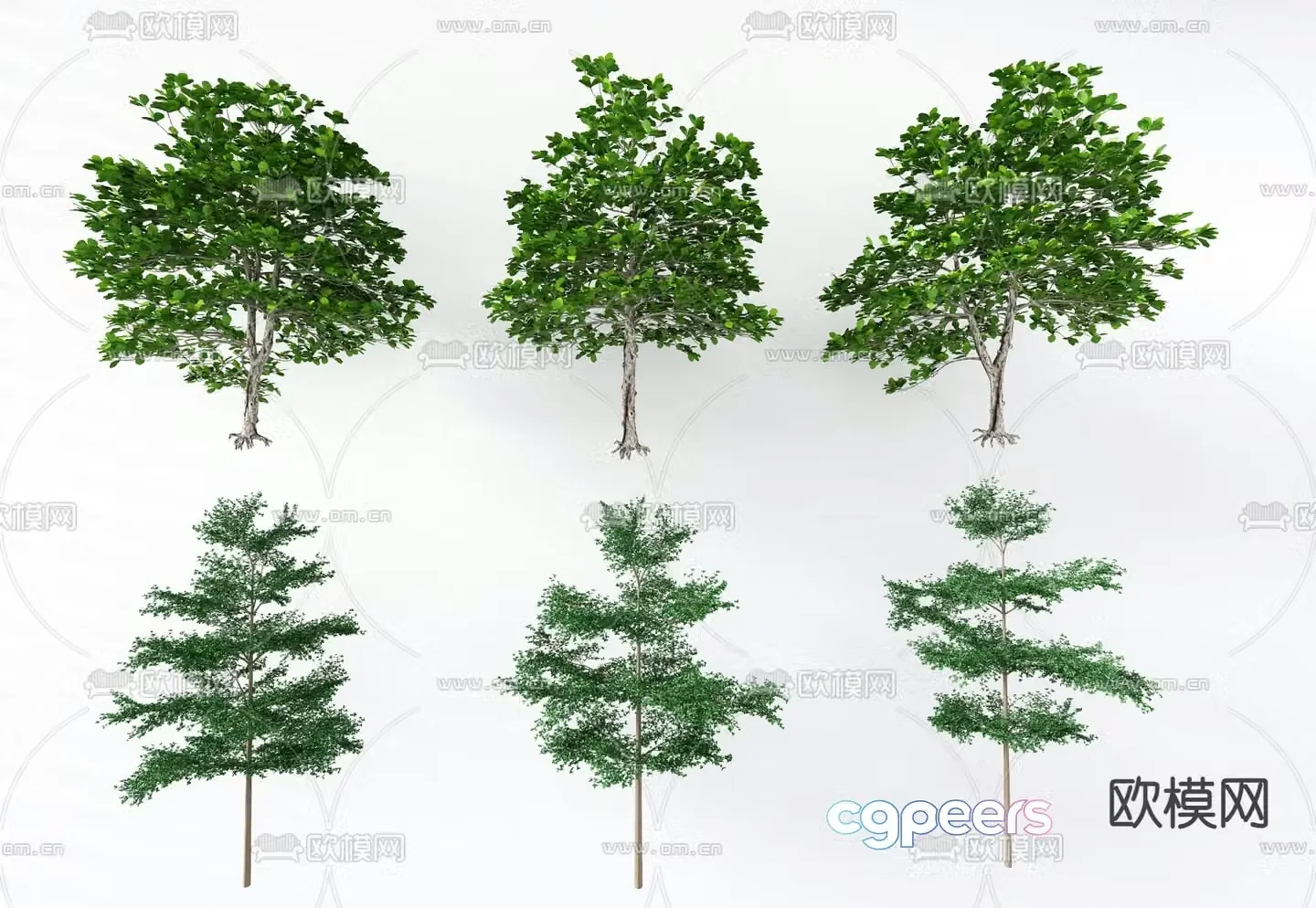 Landscape tree Tree lanren tree 3d model