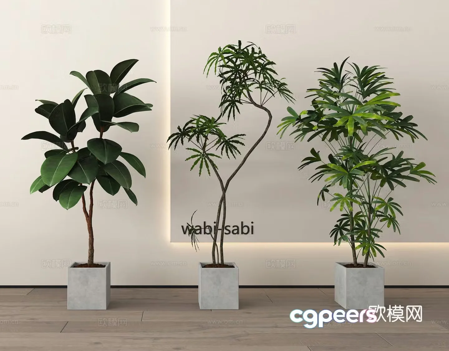 Potted plants Bonsai Green plants 3D model