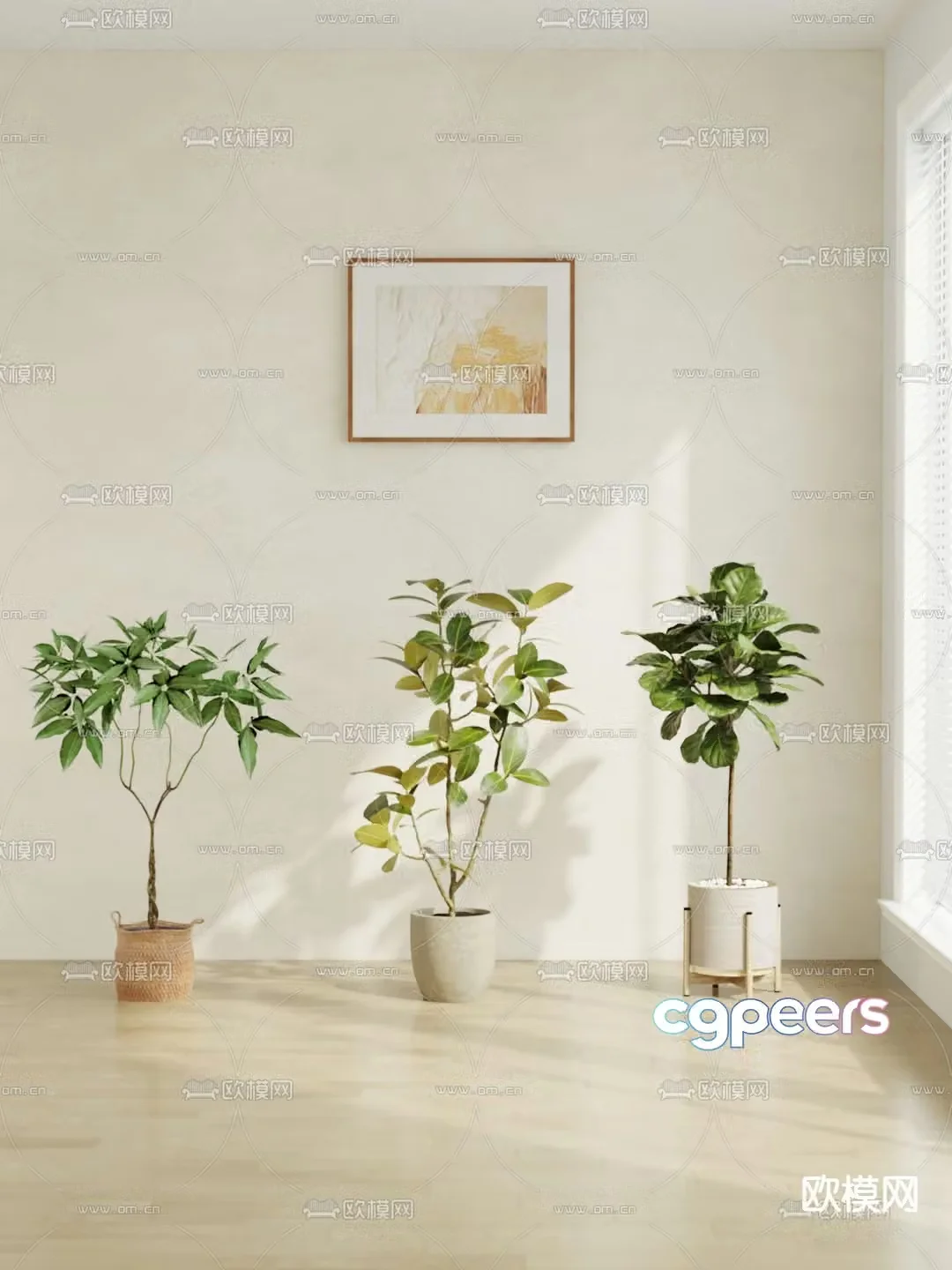 Potted plants Bonsai Green plants 3D model