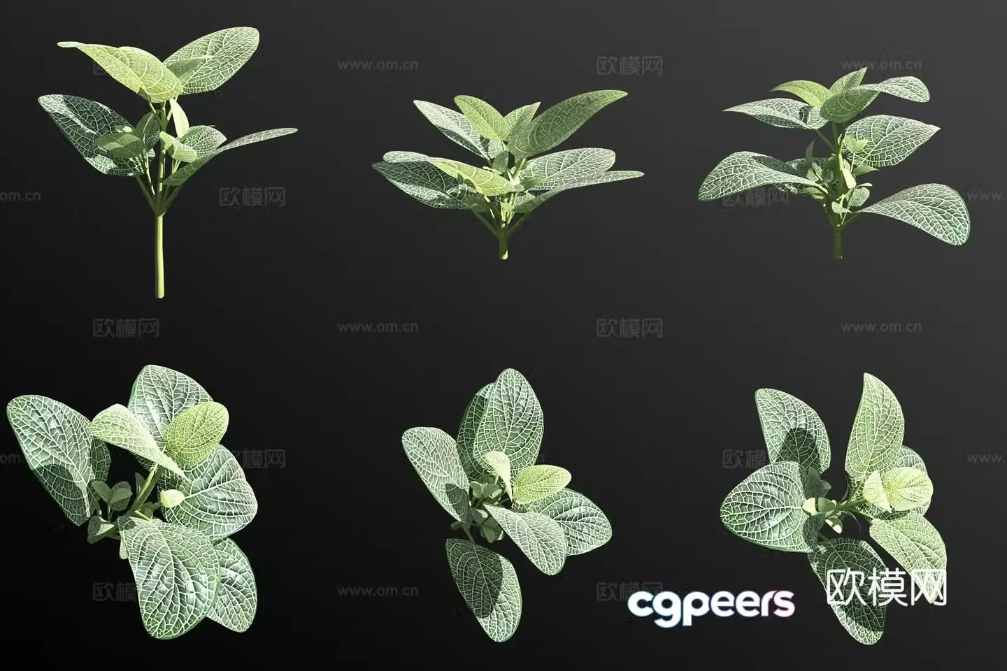 White mesh grass and green plants flowers and grass 3d model