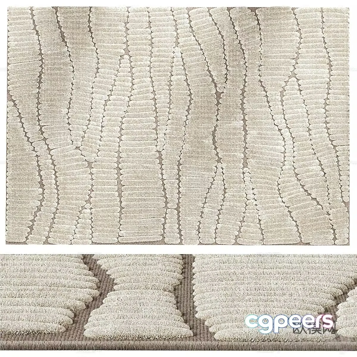 Fossil carpet 3D model