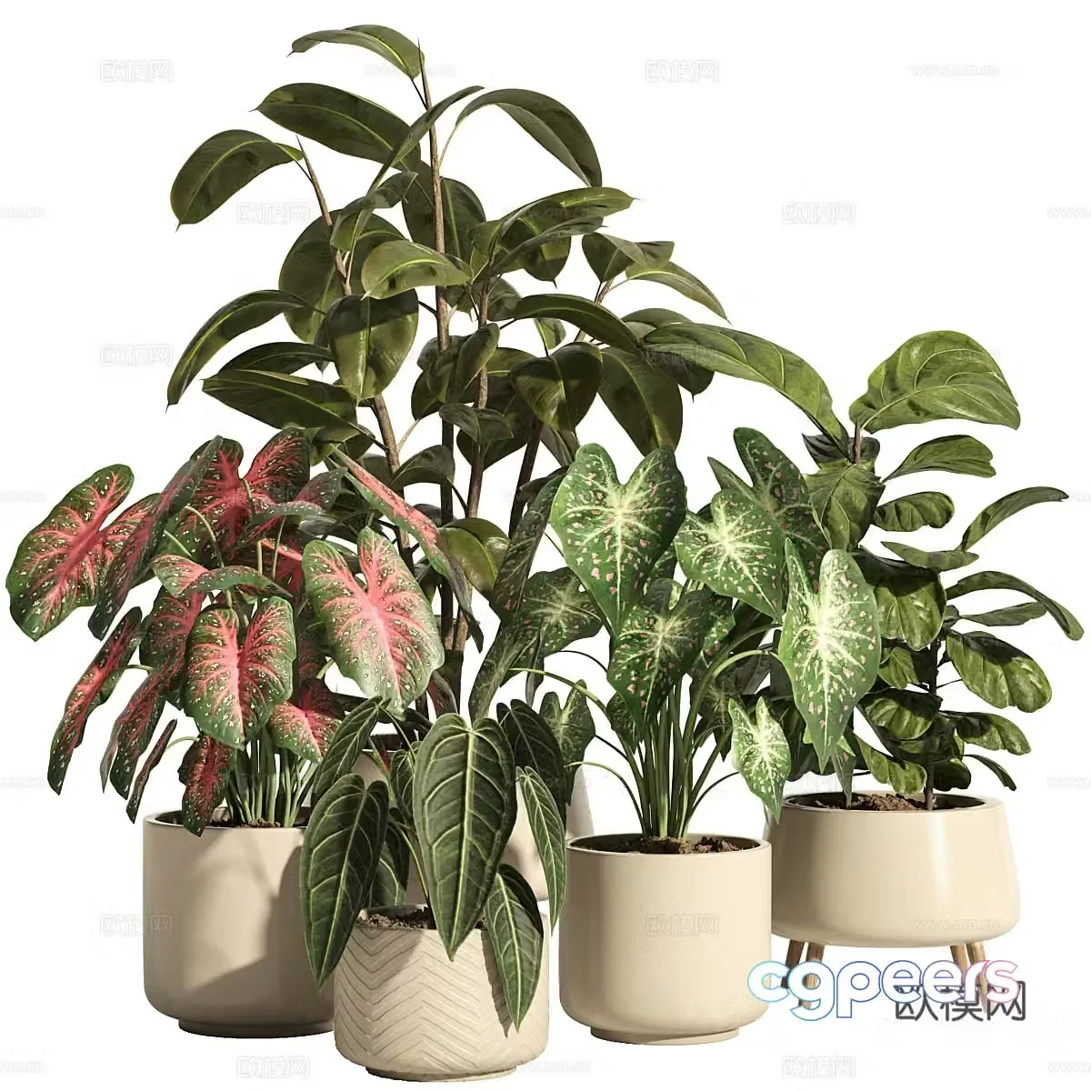 Modern Cream Style Green Plant Bonsai 3D Model
