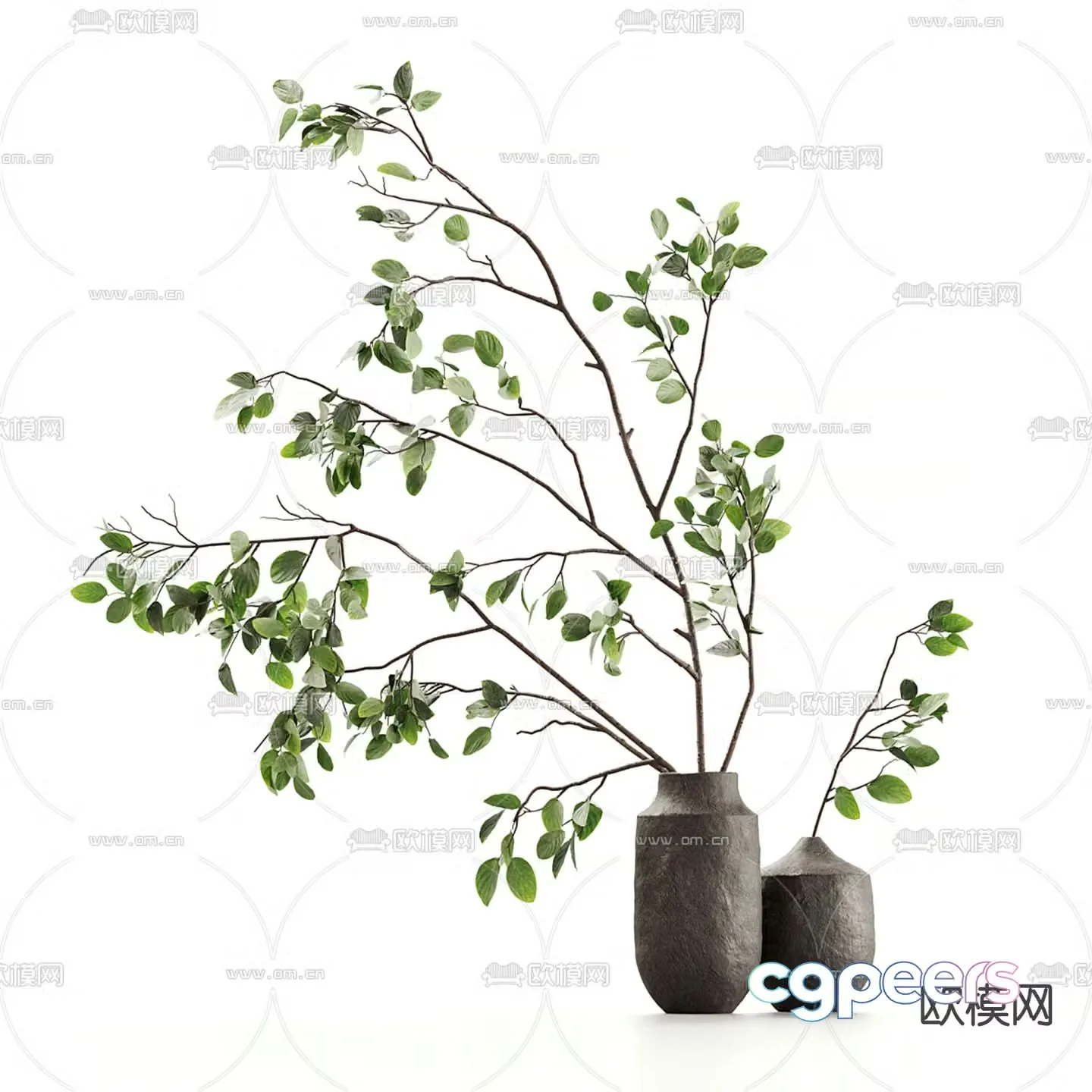 Aquatic plants hydroponic green plants 3D model